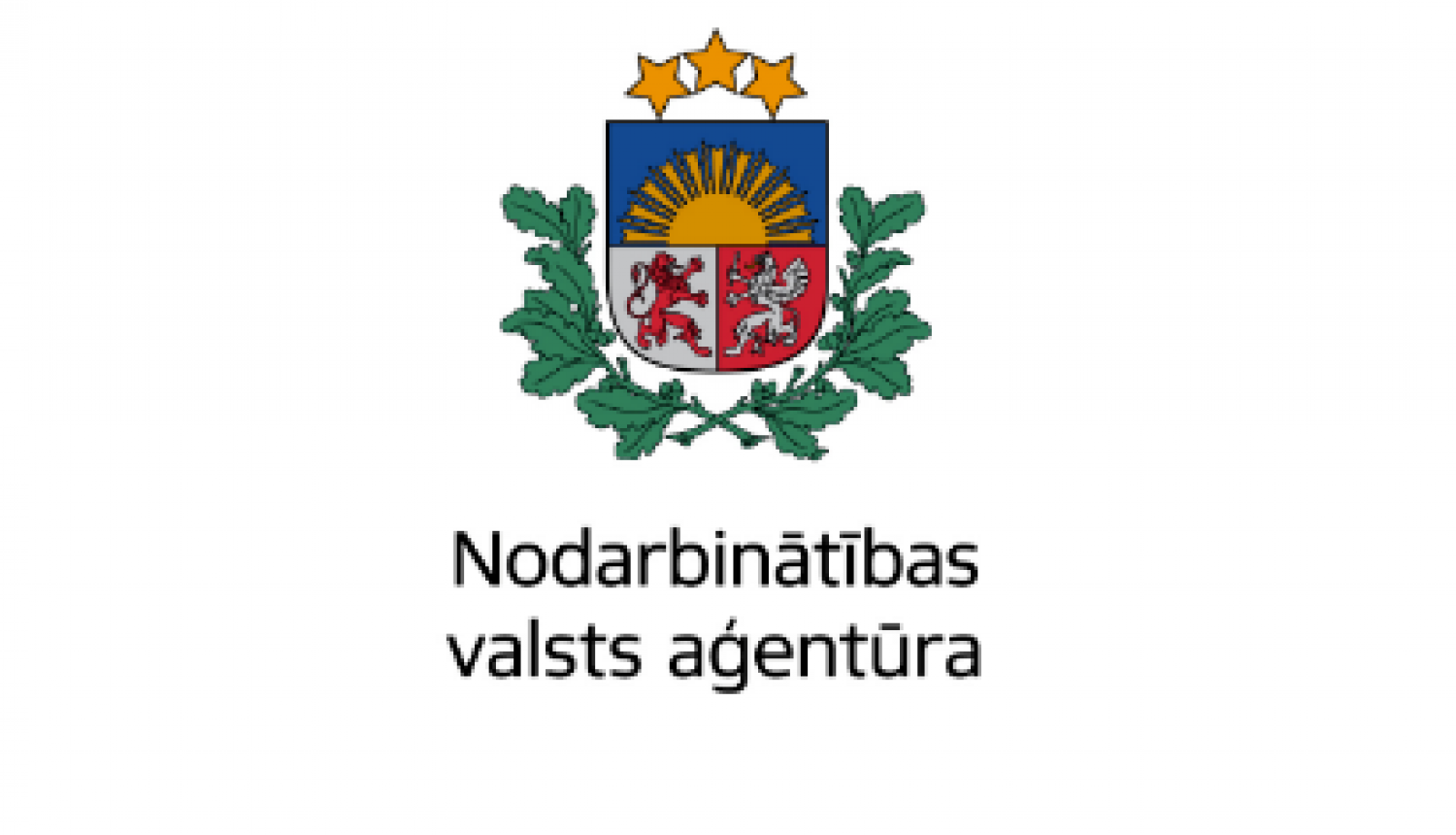 NVA logo 