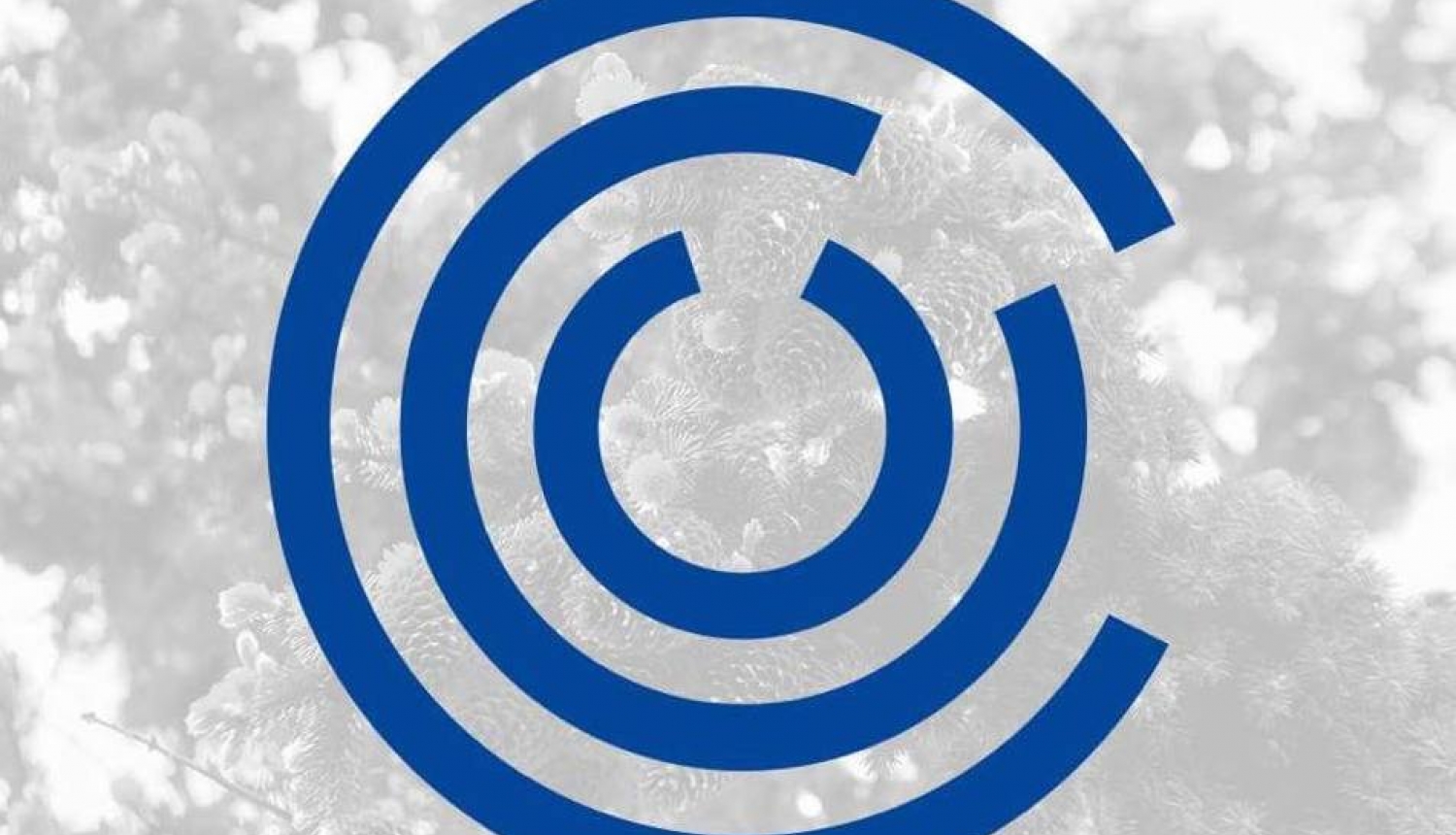Veselības veicināšanas pasākumi 2020. gada decembrī