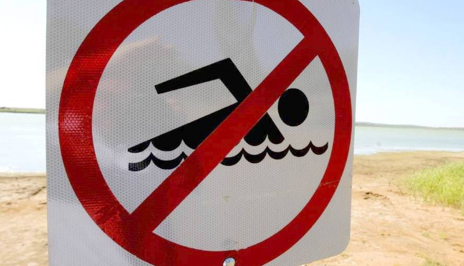 Piesārņojuma dēļ aizliegts peldēties Madlienas pagastā baseinā pie skolas