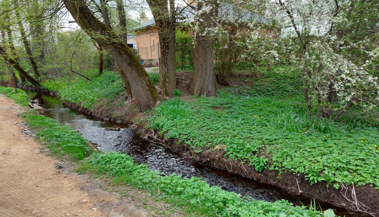 Lebiņas upe, Ogre (24.04.2023)