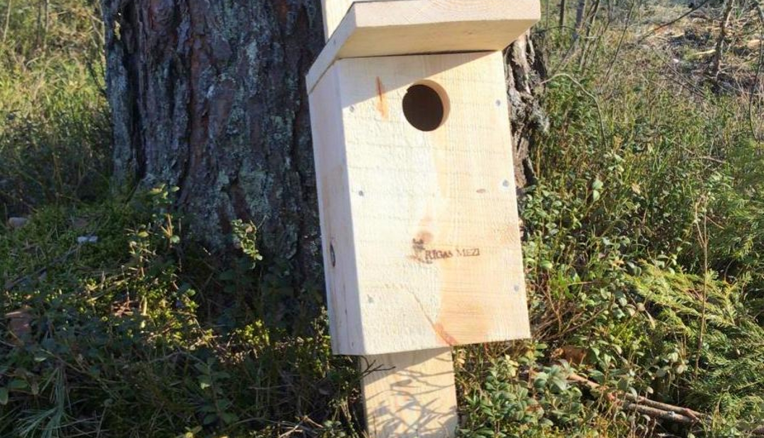Dalies ar fotogrāfijām, kā gatavo un izvieto putnu būrīšu!