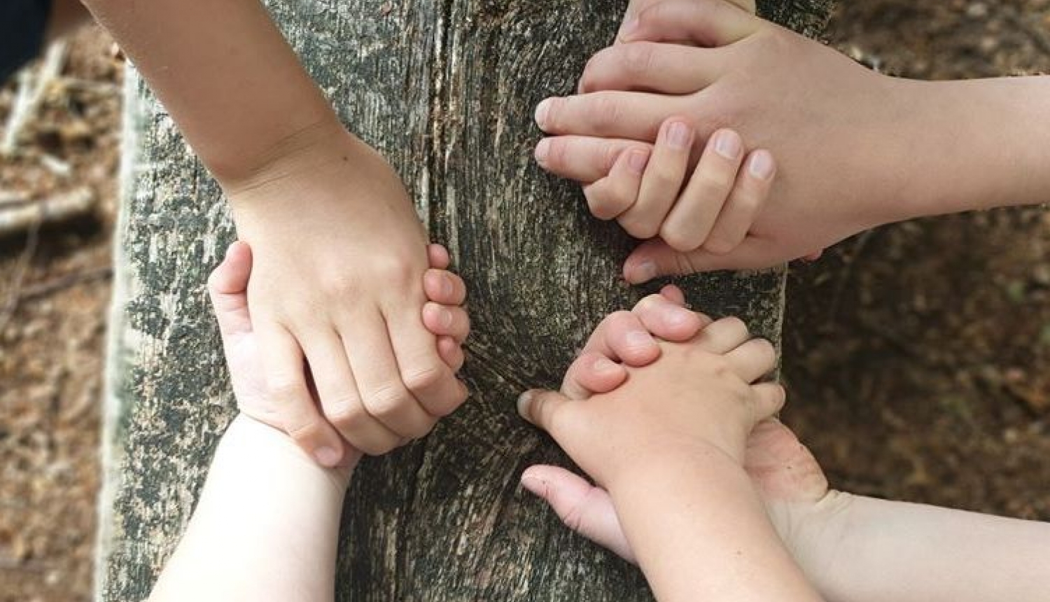 Ogres Baltā skola aicina uz tikšanos pirmklasnieku vecākus!