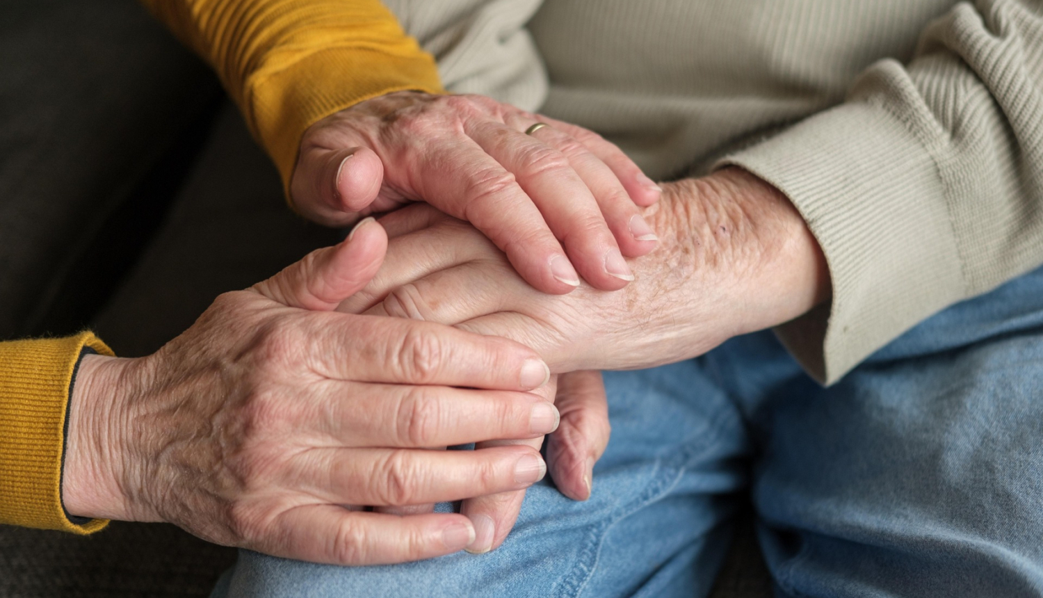 Rokas silda citas rokas