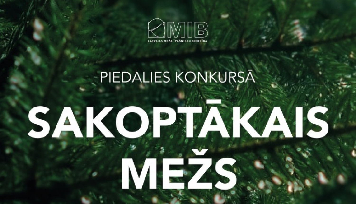 Konkurss Sakoptākais mežs 2023 plakāts