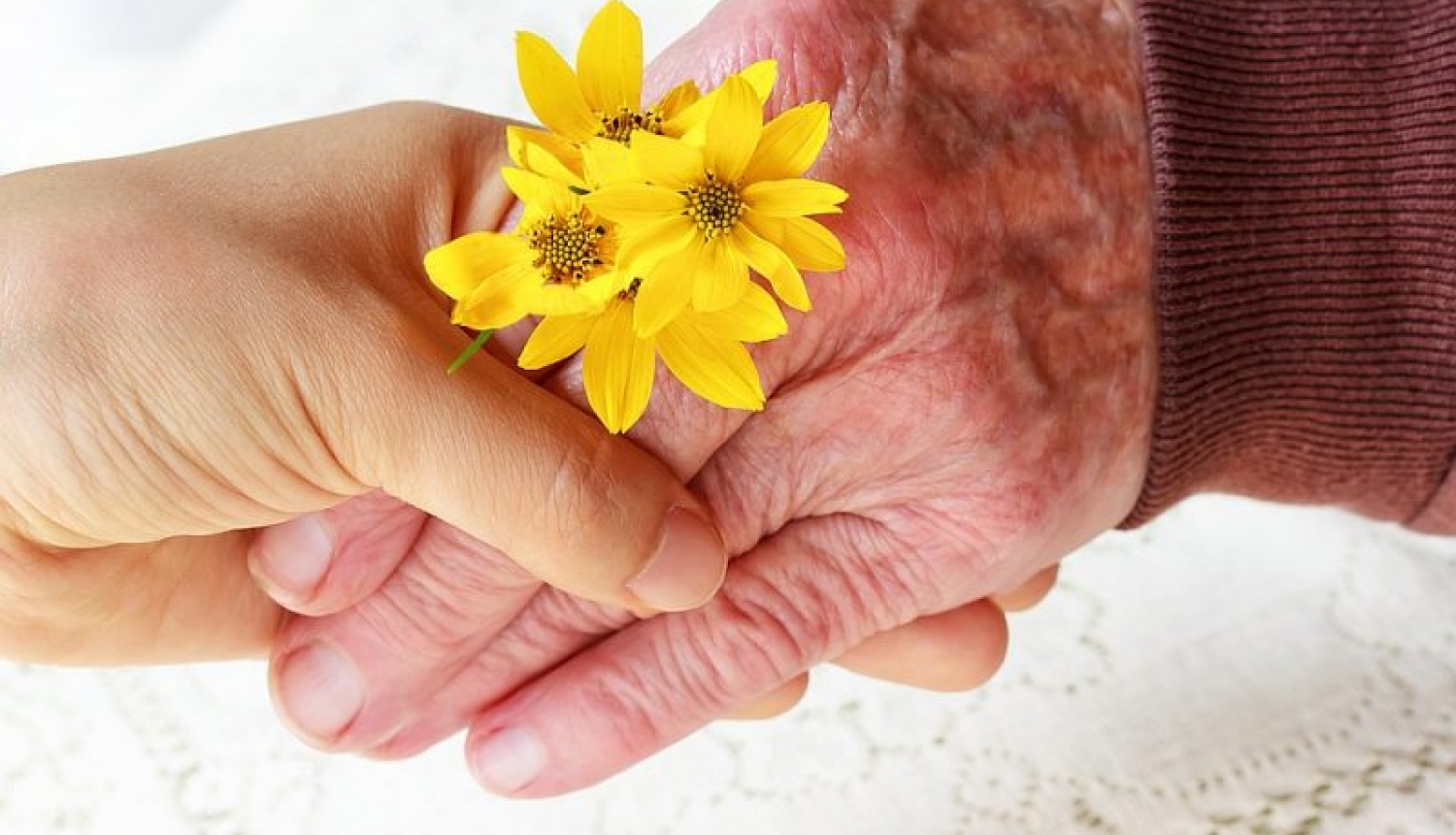 Sveicam novada seniorus!