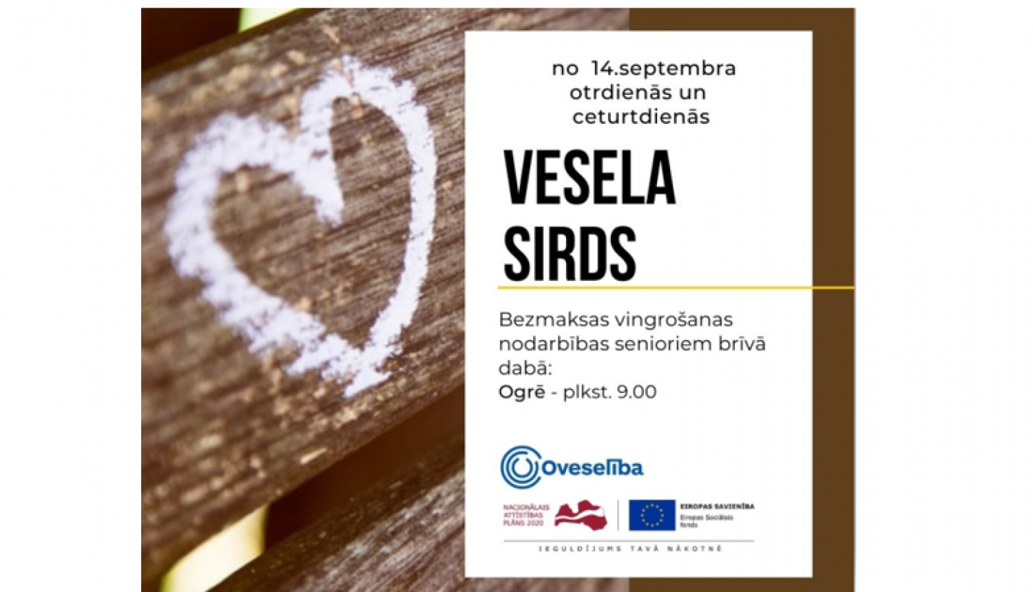 Vesela sirds