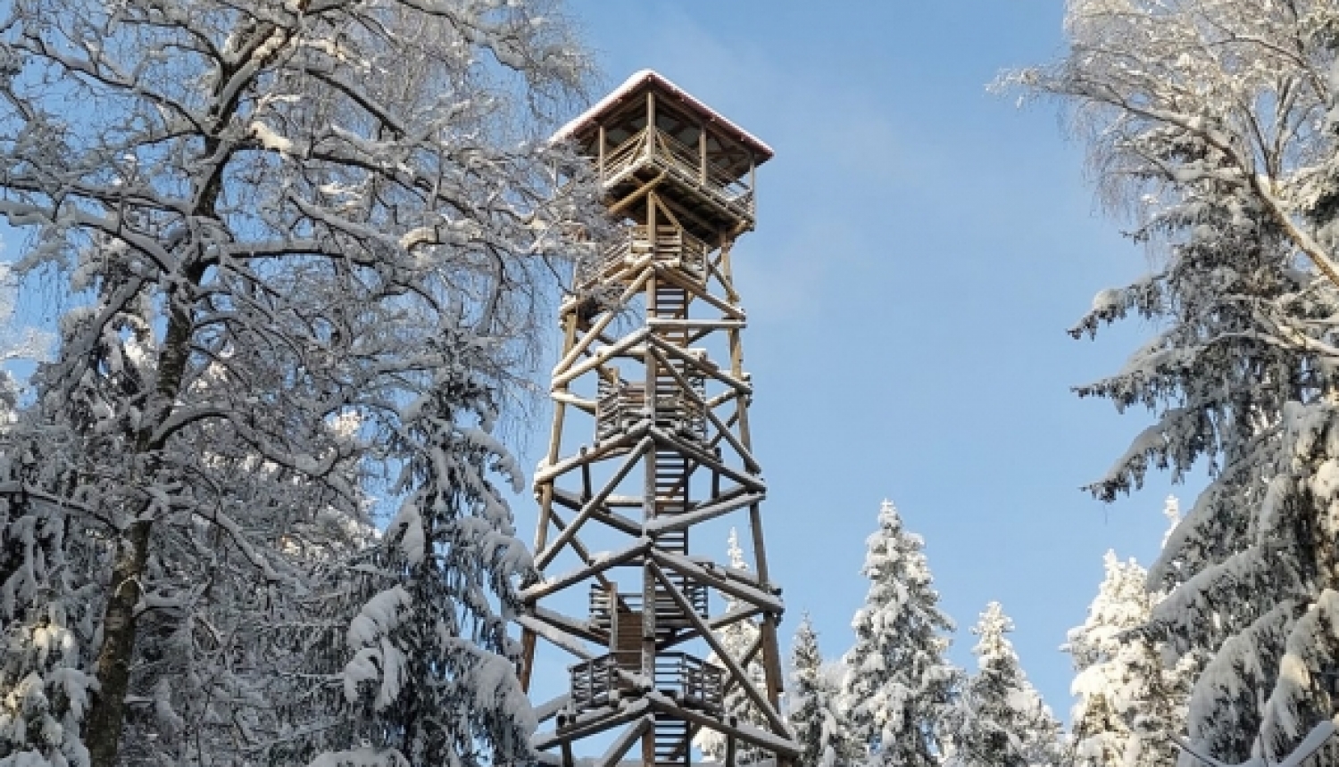 Ogres Zilo kalnu skatu tornis ziemā, autors Nora Dekere