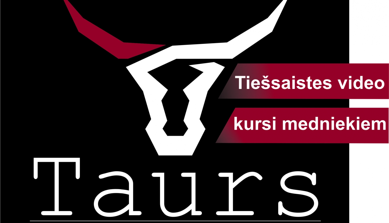 Aicina piedalīties bezmaksas tiešsaistes semināros par medniecību