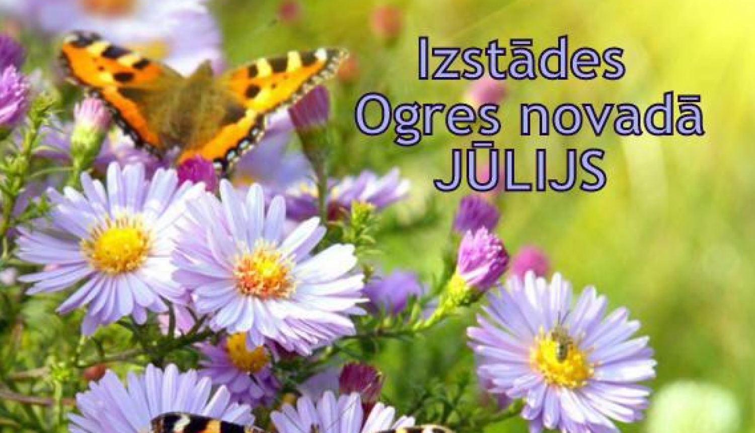 Oranži tauriņi, violeti ziedi, izstādes jūlijā