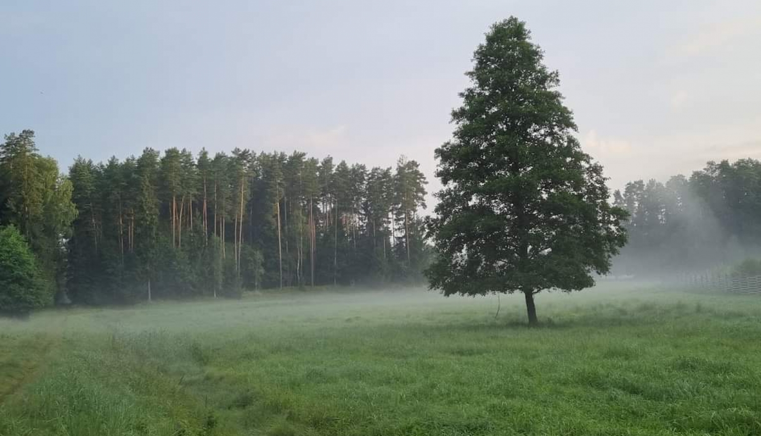 Zaļā klase